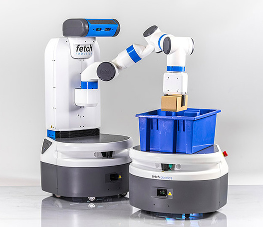 Fetch Robot